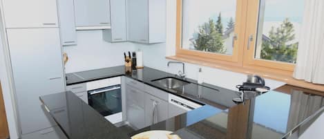 Fridge, oven, dishwasher, cookware/dishes/utensils