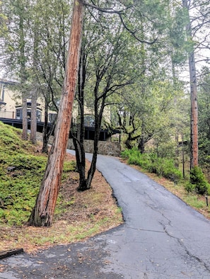 Property grounds - Stay and Play in Groveland - EV charging - 40 minutes to Yosemite Gate (Groveland)