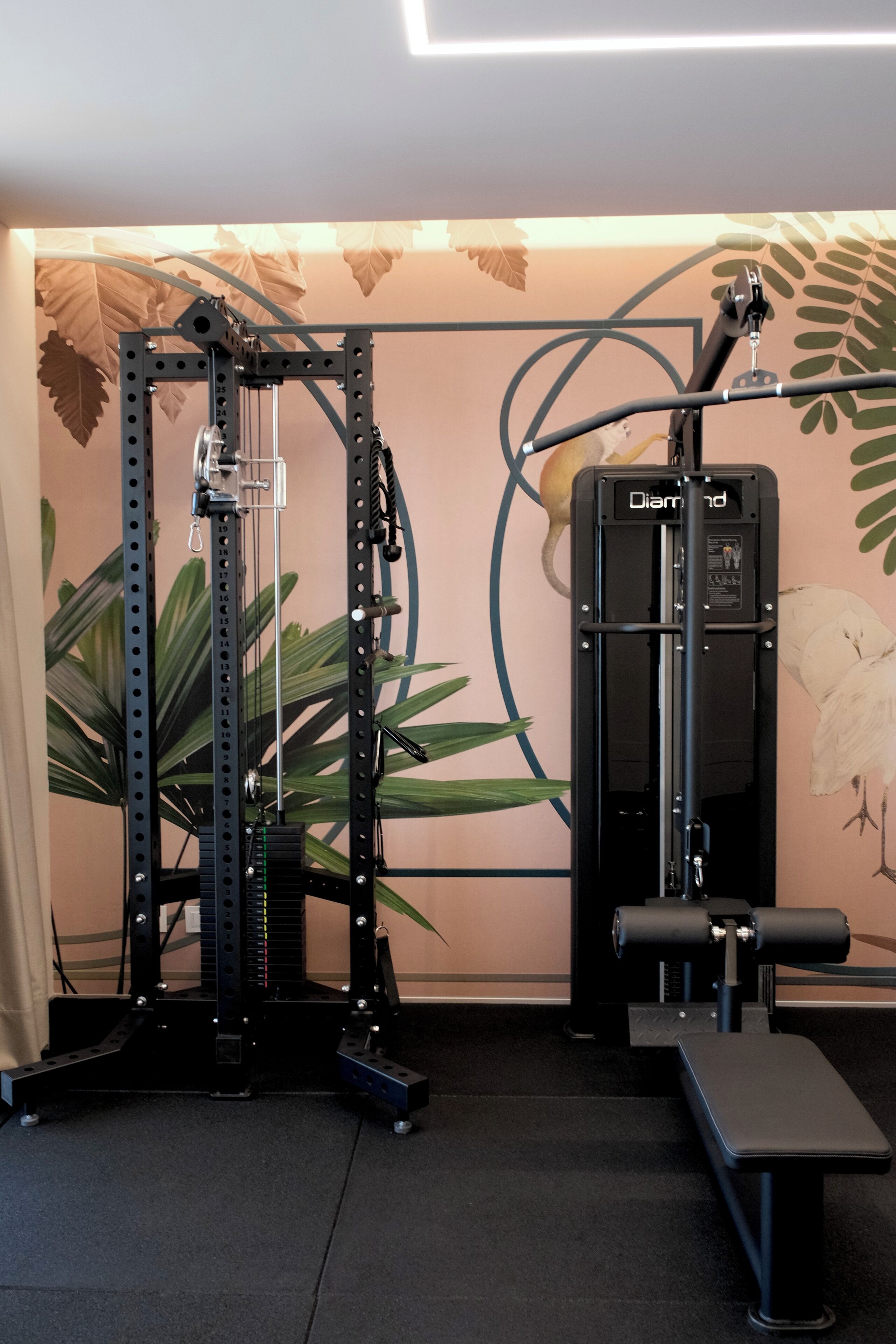 A gym with a squat rack, bench press, and a wall with a leaf pattern.