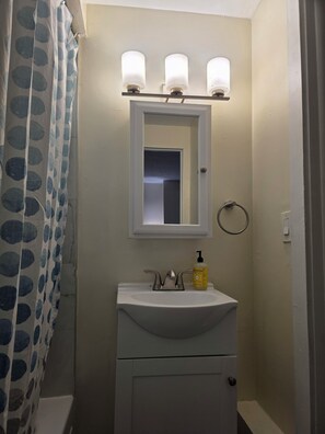 Bathroom - Lovely 2-bed  in Rochester Highland Park area. Close to Downtown, UR, Strong. (Rochester)