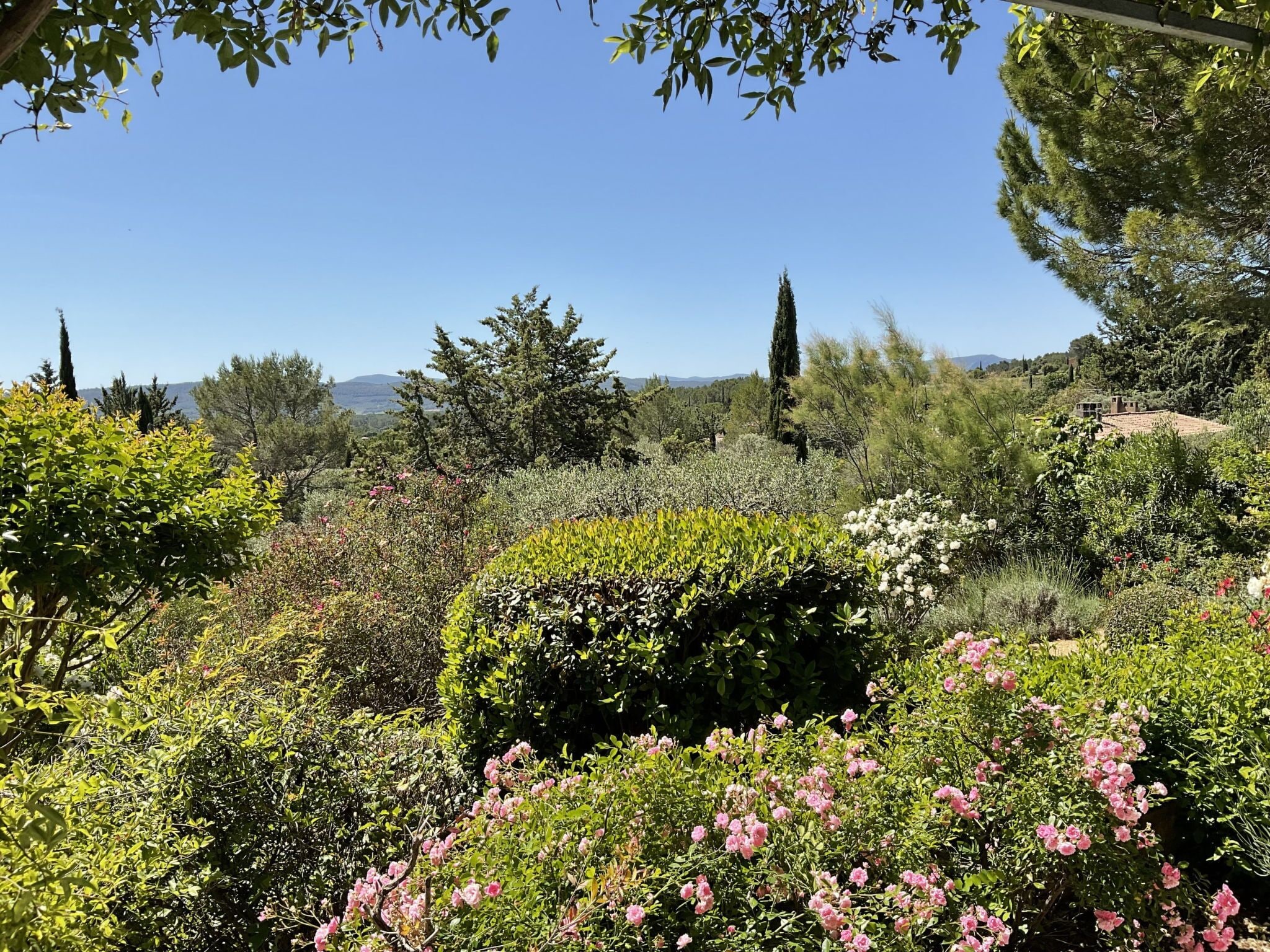 Um jardim com diversas plantas e flores, céu claro e montanhas ao longe.