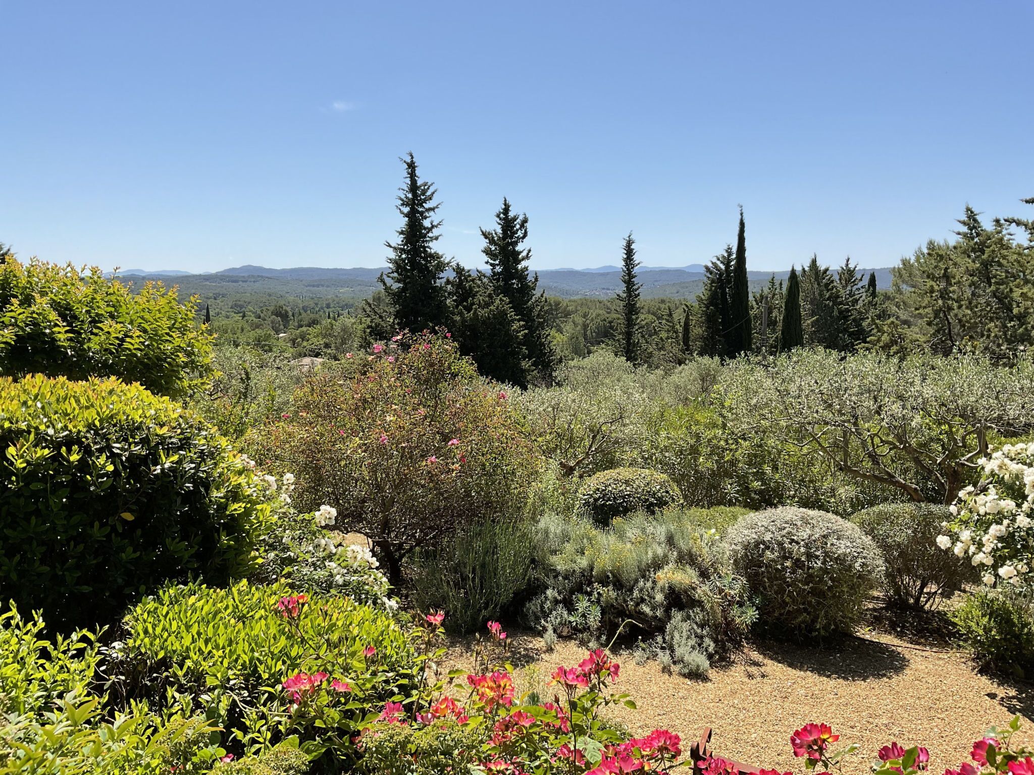 Un jardin agrémenté de diverses plantes et arbres, un sentier de gravier et une vue sur des collines lointaines.