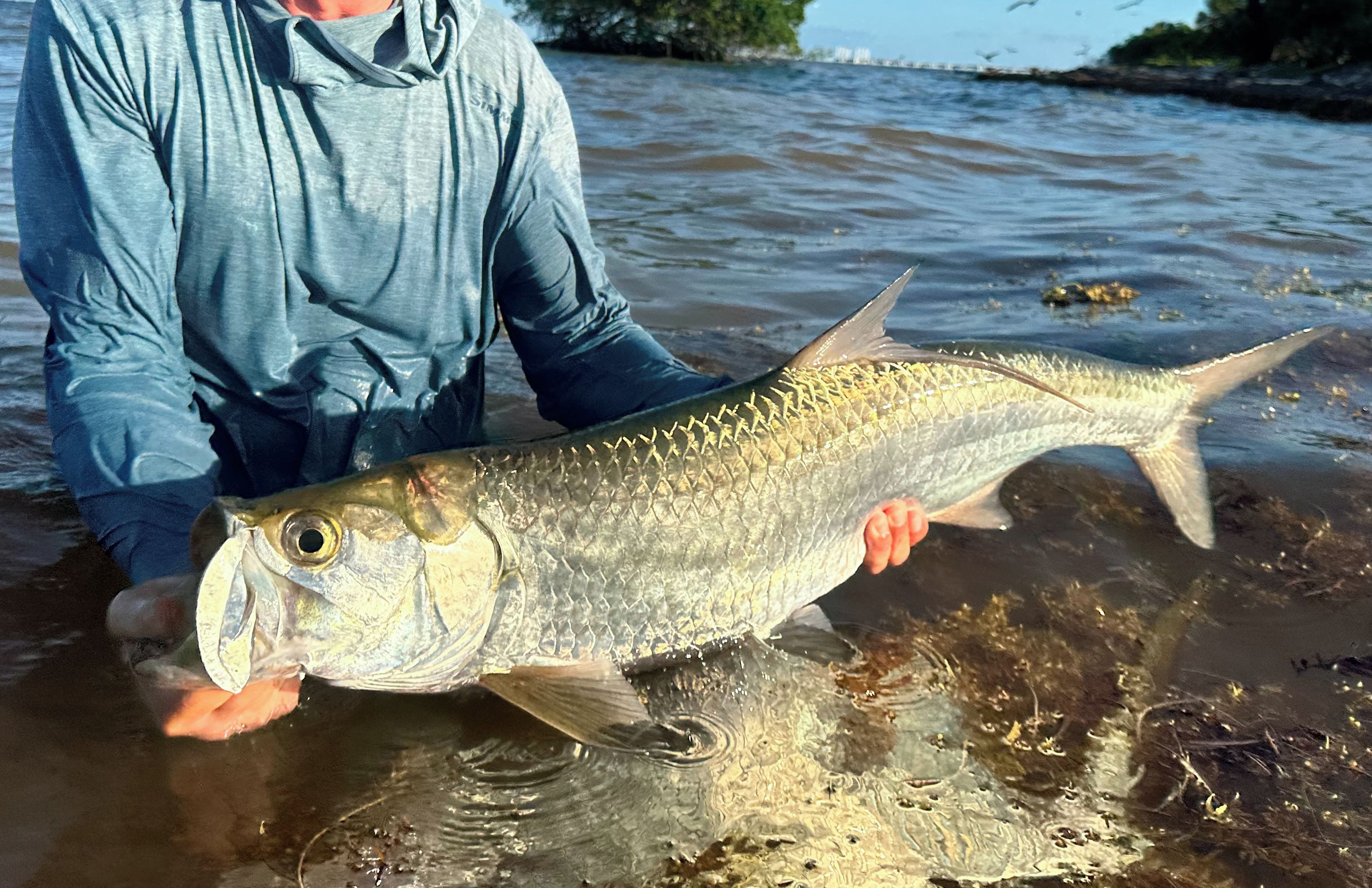 Una persona che tiene un pesce in acqua cristallina.