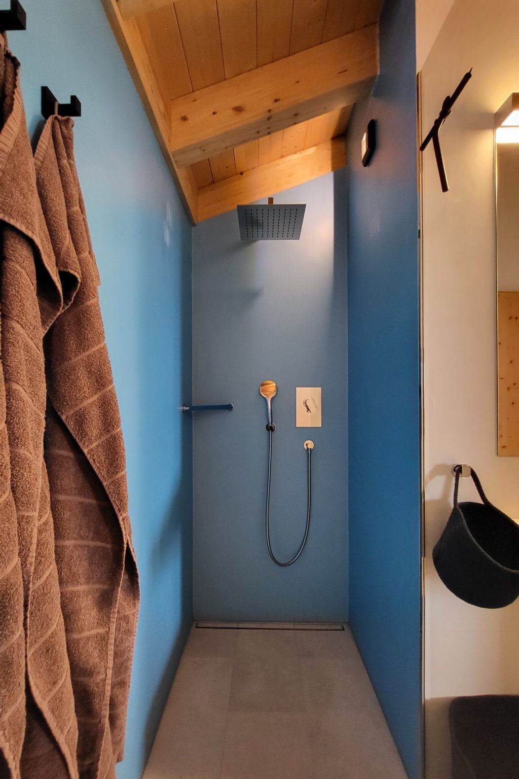 Une petite salle de bain avec une douche, un porte-serviettes et un miroir.