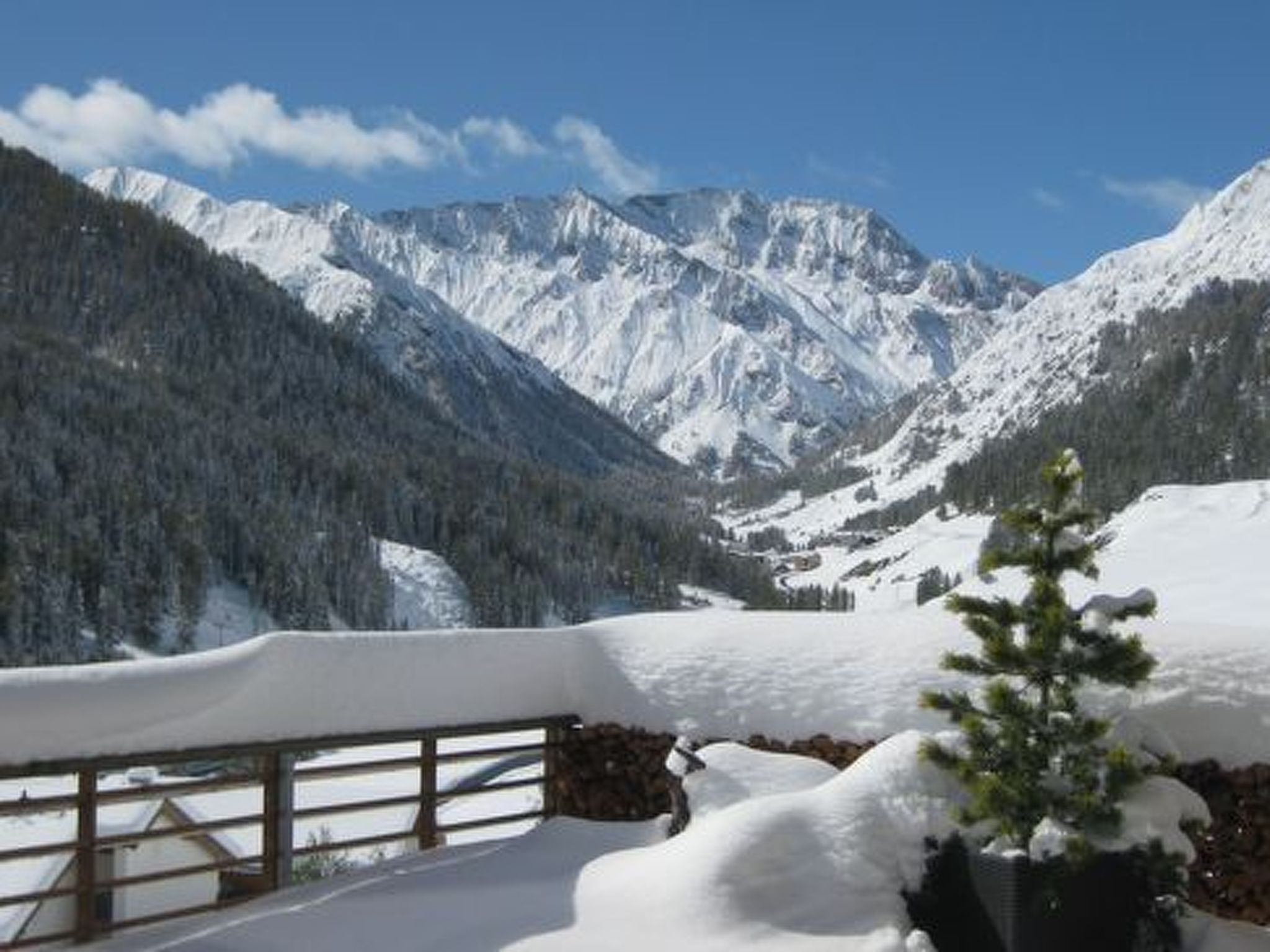 Paesaggio montano innevato con una recinzione in legno e una pianta in vaso in primo piano.