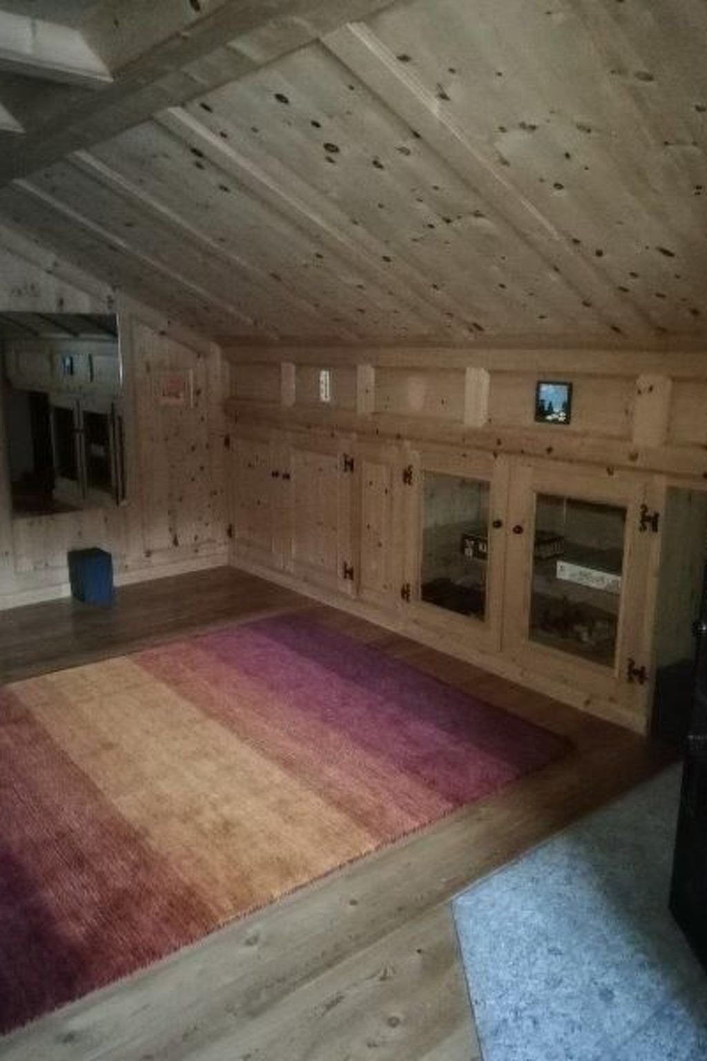 A room with wooden walls and a large carpet. There are cabinets and a small television.