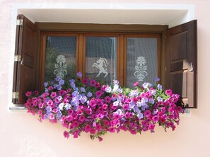 Exterior detail - Chasa Calcagnini, (Scuol). by Interhome (Scuol)