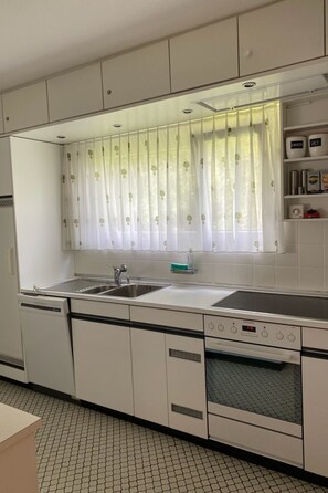 Fridge, oven, dishwasher, cookware/dishes/utensils - Brentsch Park, (Scuol) by Interhome (Scuol)