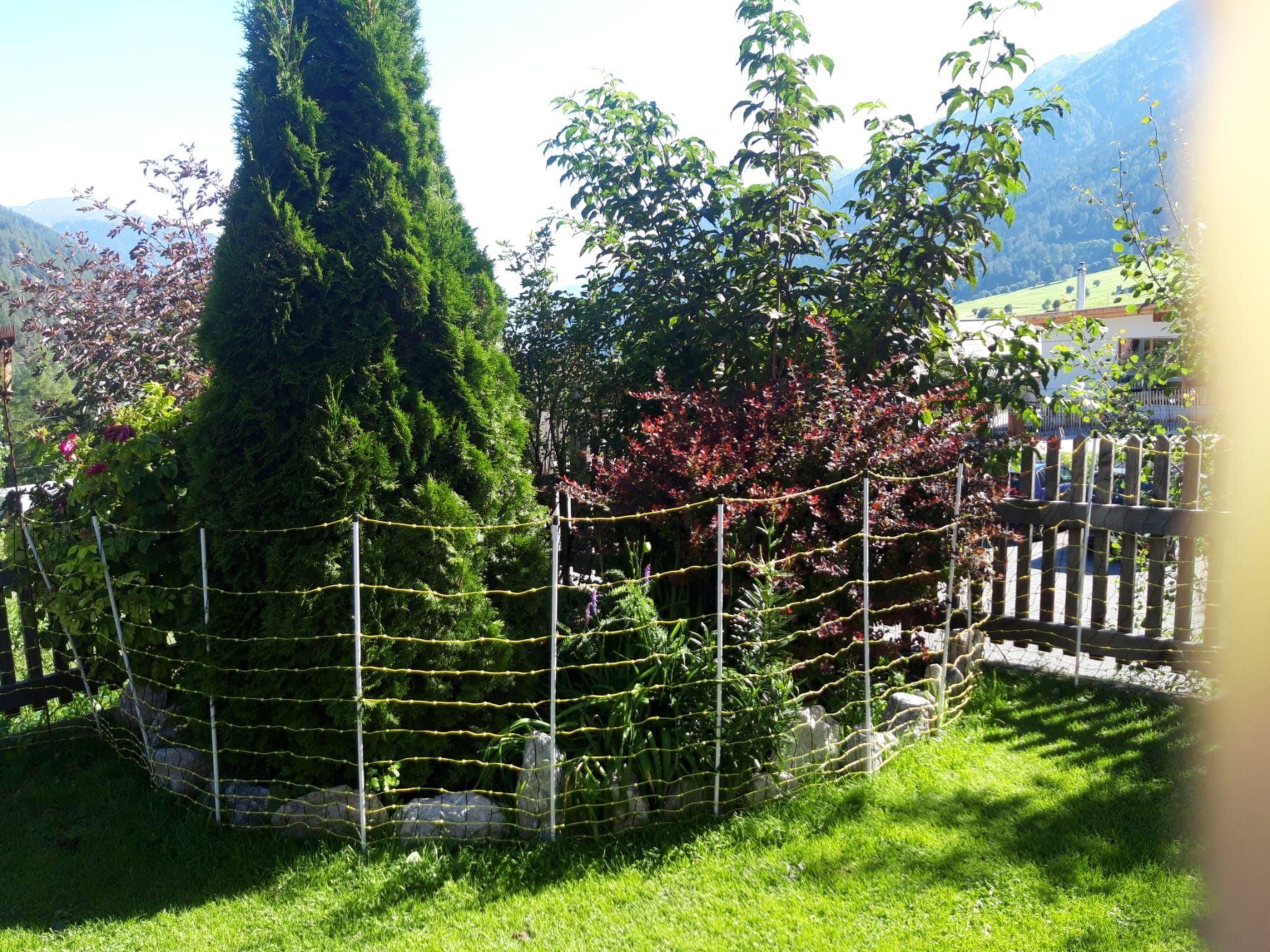 Ein von einer Hecke umgebener Gartenbereich mit verschiedenen Bäumen und Sträuchern, darunter ein hoher Nadelbaum und blühende Pflanzen.