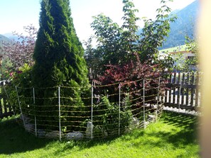 Ein von einer Hecke umgebener Gartenbereich mit verschiedenen Bäumen und Sträuchern, darunter ein hoher Nadelbaum und blühende Pflanzen.