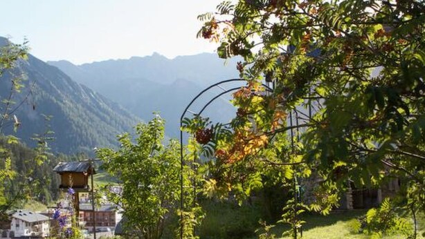 A mountainous landscape with a garden, a birdhouse, and a small building. - Atlantis Apartments by MEIN SAMNAUN – MOUNTAIN HOMES, (Samnaun-Ravaisch) by Interhome (Samnaun-Ravaisch)