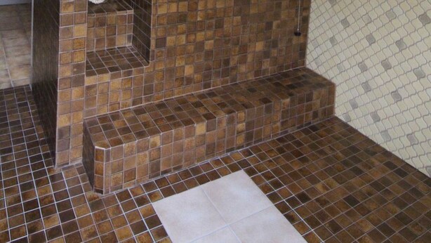 Ein Badezimmer mit gefliestem Duschbereich, einem Waschbecken und einer Toilette.