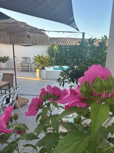Villa Occitana: Between Land and Sea