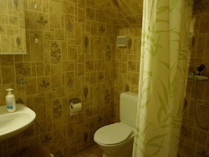 A bathroom with a toilet, a sink, and a shower curtain.
