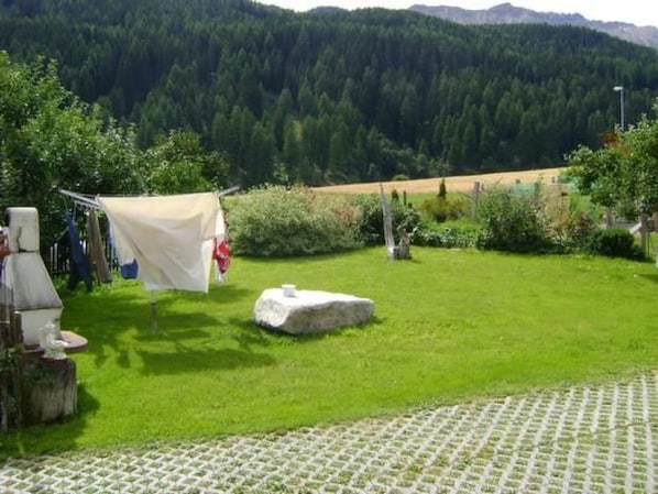 A grassy outdoor area with a clothesline, a stone, and a paved walkway.