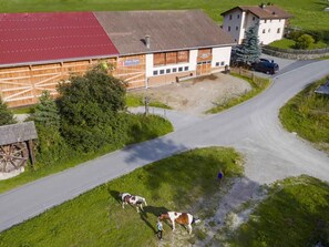 A rural road with a barn and a building with a red roof. - Ferienwohnungen Paclerahof, (Sta. Maria - Santa Maria Val Müstair) by Interhome (Sta. Maria GR)