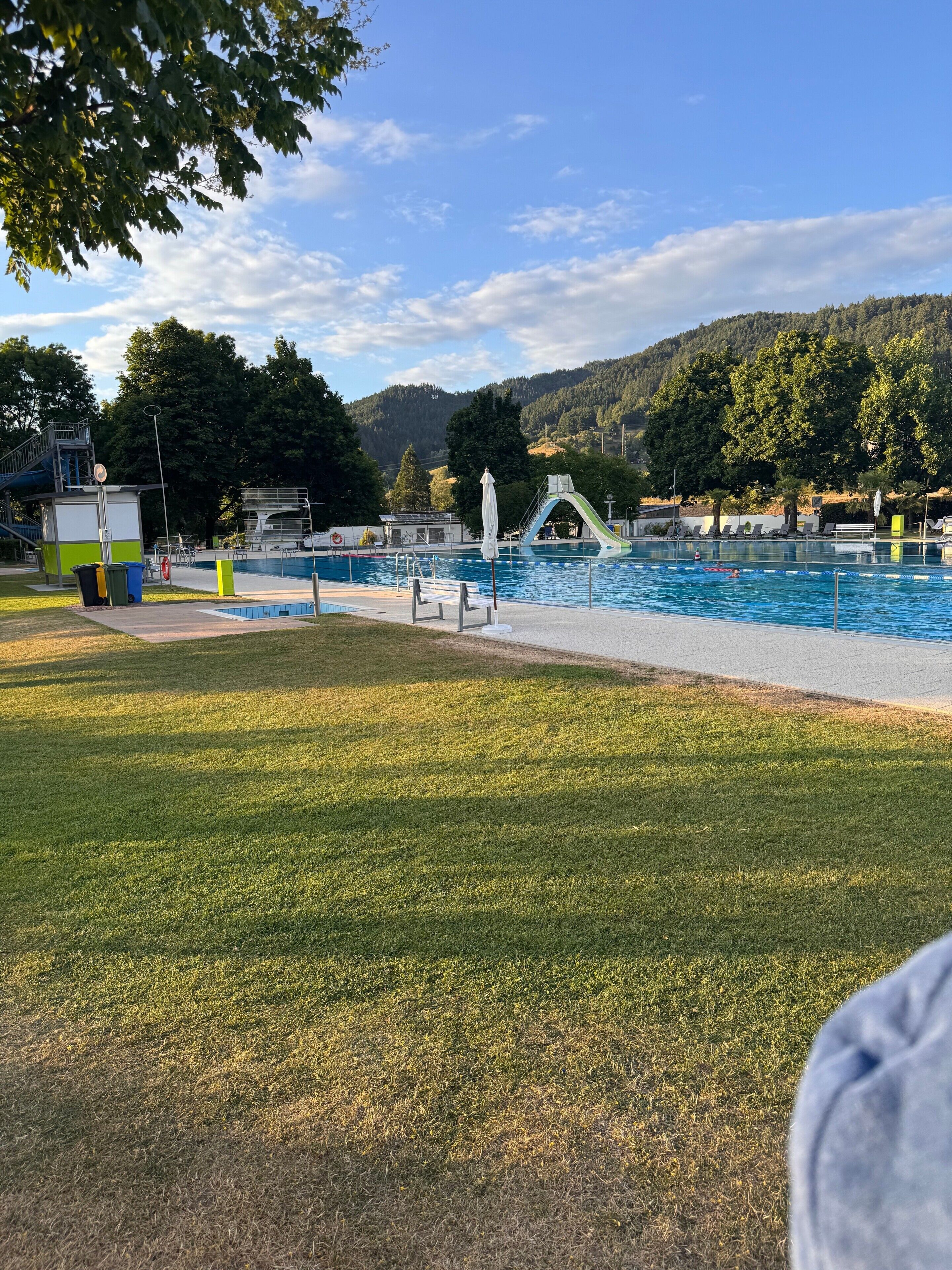 Ein Schwimmbecken mit Sprungturm und Wasserrutsche, umgeben von einer Rasenfläche und Bäumen.