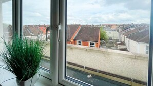 A window with a view of a residential area, a potted plant, and a metal railing.