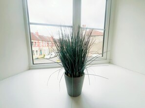 Une plante en pot, placée sur un rebord de fenêtre, d’où l’on aperçoit une rue résidentielle.