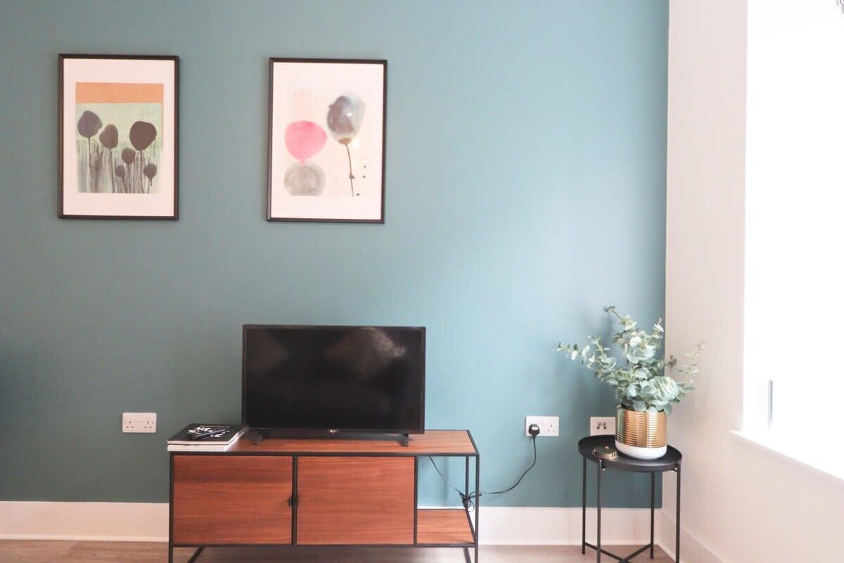 A room with a TV on a wooden stand, two framed artworks on the wall, a small table with a plant, and a power outlet.