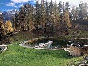 Une vue sur le lac, avec un quai en bois, une zone herbeuse et un bâtiment doté d’un toit en pente.