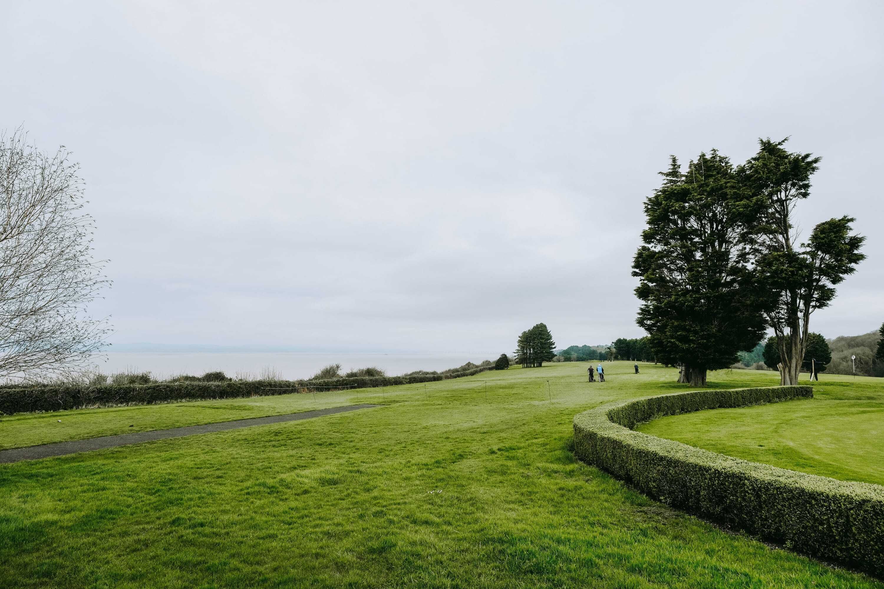 A grassy field with a hedge, a path, and a large tree.
