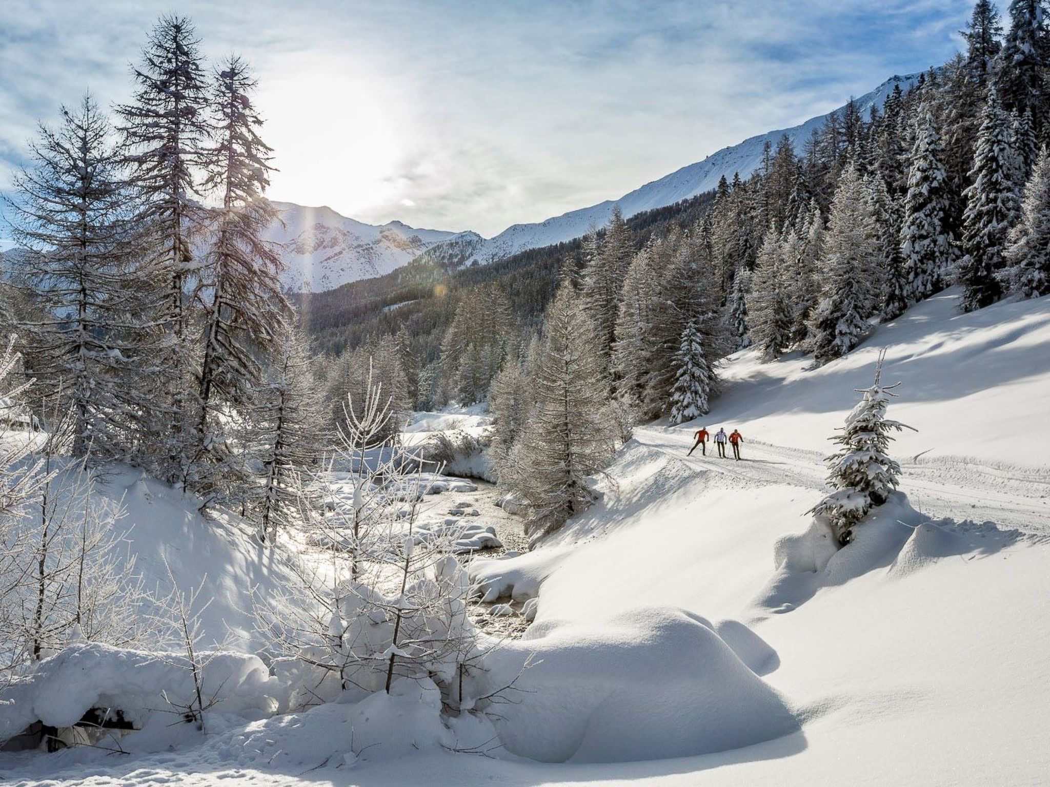 Schneebedeckte Landschaft mit einem klaren Pfad, Bäumen und Bergen im Hintergrund.