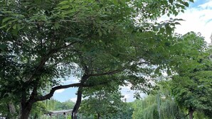 A park with trees, a gazebo, and a paved walkway. - 7Mins City Garden and Center+P (Plovdiv)