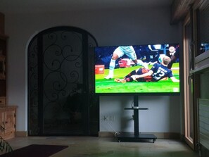 A television mounted on a stand in a room with a decorative door and a potted plant. - Hinteregger, (Fuldera) by Interhome (Fuldera)