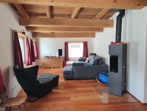 Televisión y chimenea 
