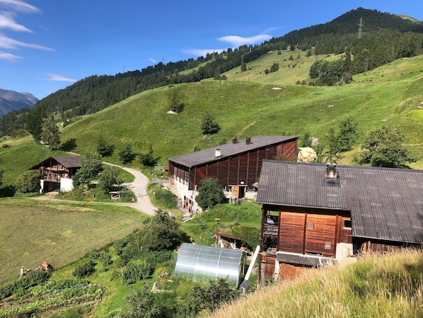 Una propietat rural amb diversos edificis de fusta, un hivernacle i un camí que travessa el paisatge.
