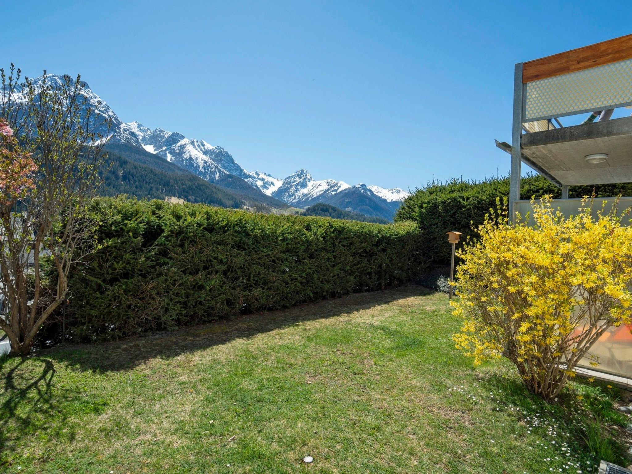A garden with a mountain view, a hedge, and a wooden structure.