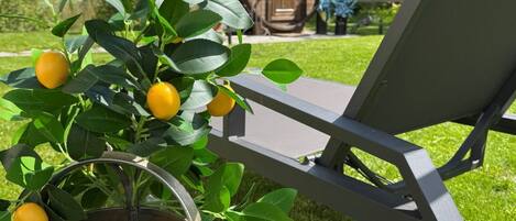 A garden with a metal watering can, a chair, and a wooden structure in the background.