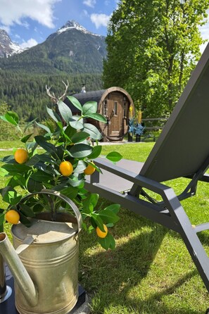 Ein Garten mit einem Metalegießkannen, einem Stuhl und einer hölzernen Struktur im Hintergrund.
