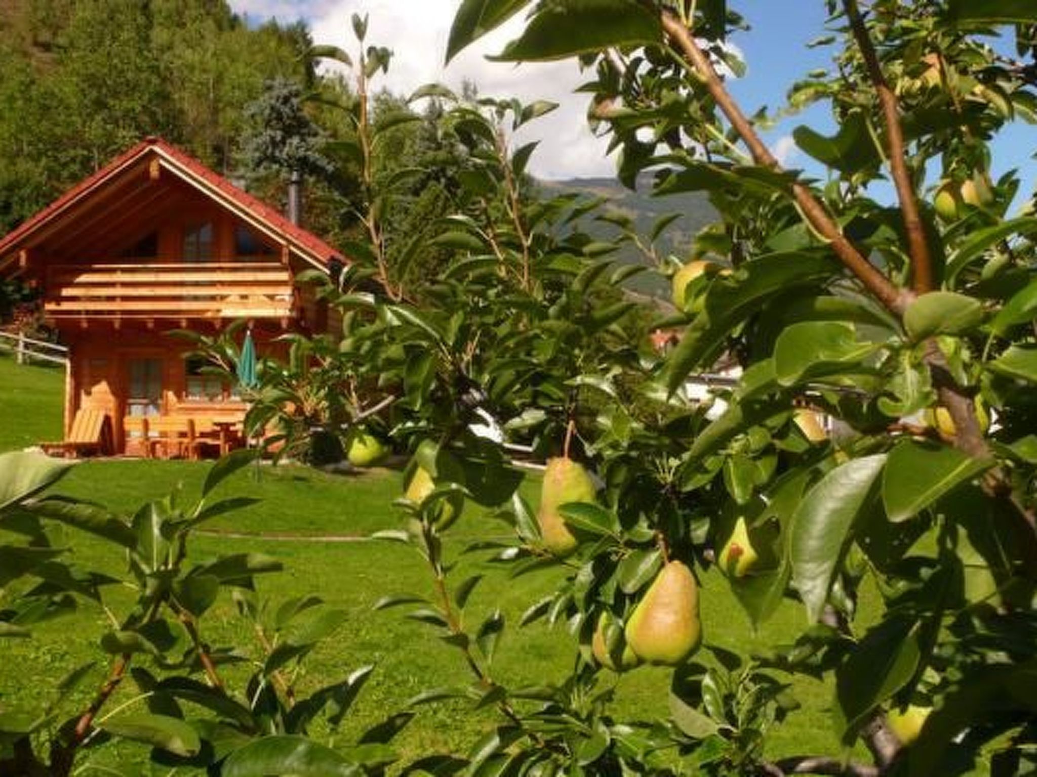 A wooden cabin with a porch, surrounded by lush greenery and fruit trees.