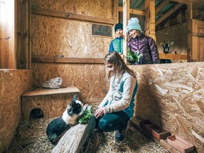 A rustic wooden interior with a hay-covered floor, a small animal enclosure, and a person interacting with a goat.