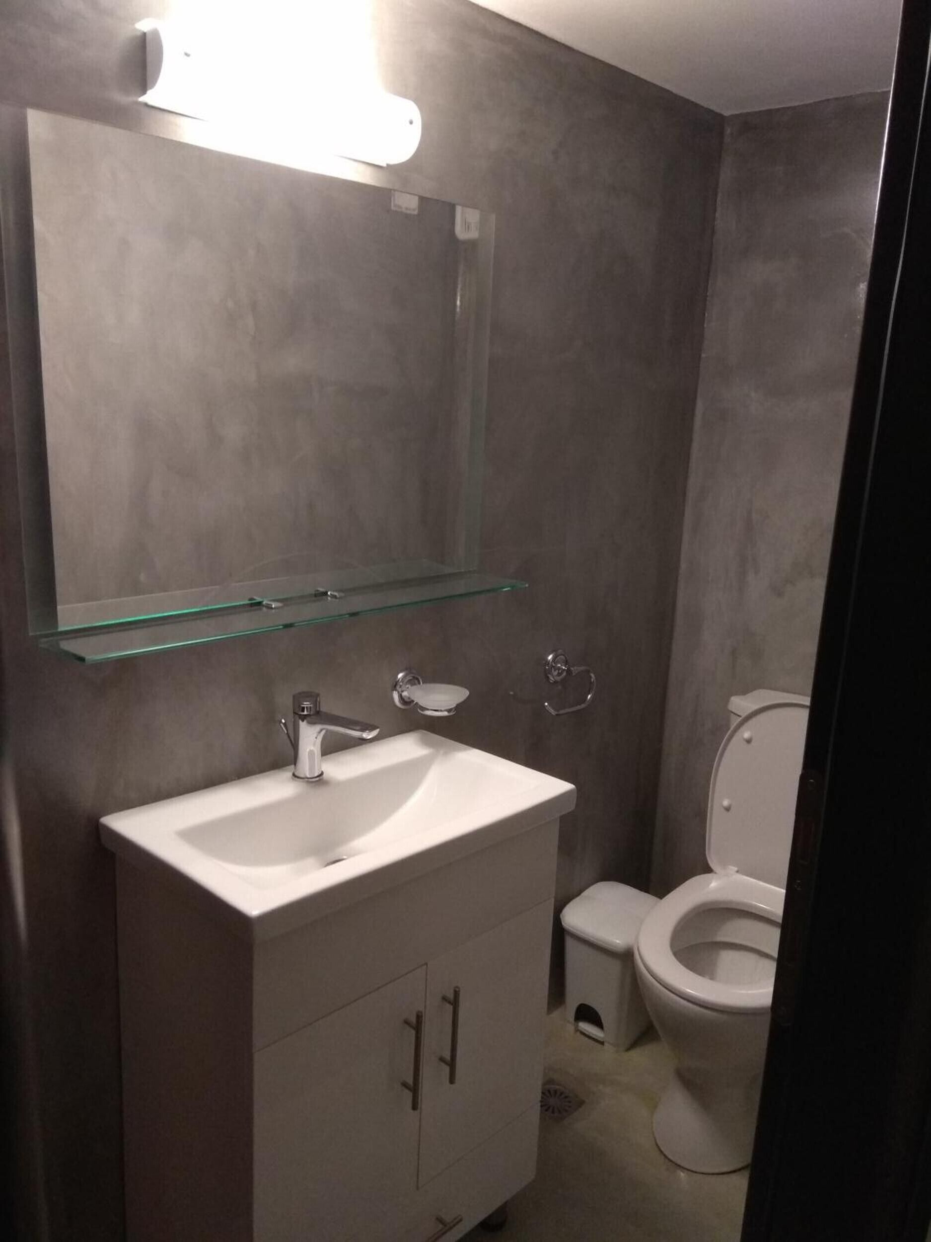 A bathroom with a white sink, a glass shelf above it, a mirror, and a toilet.