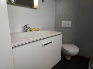 Un bany amb un lavabo blanc, un vàter i un mirall.