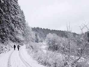 Wintersport/Ski