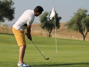 Una persona jugando al golf en un campo bien cuidado con marcadores de bandera.
