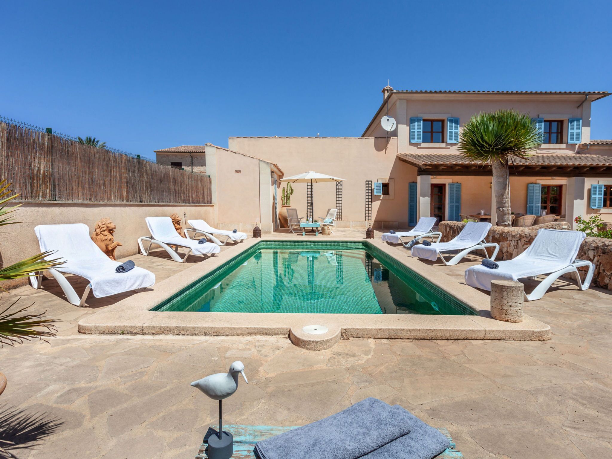 A swimming pool with lounge chairs, a palm tree, and a building with blue shutters.