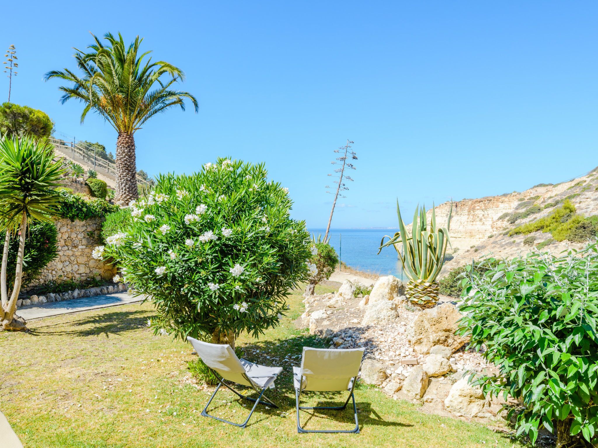 Un jardin en bord de mer avec un palmier, un arbuste aux fleurs blanches et une chaise.