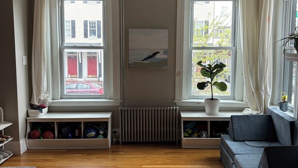 Et værelse med trægulv, en grå sofa, et vindue med en plante og en radiator.