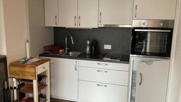 Fridge, microwave, oven, cookware/dishes/utensils