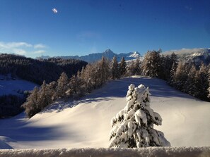 A snowy landscape with a clear sky, a snow-covered tree in the foreground, and distant mountains. - Chalet Lieuretta da Tscharfs, (Feldis). by Interhome (Tomils)