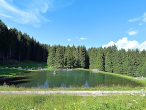 A serene lake surrounded by dense forest, a wooden dock, and a clear sky. - Haus Maran, (Oberurmein), by Interhome (Urmein)