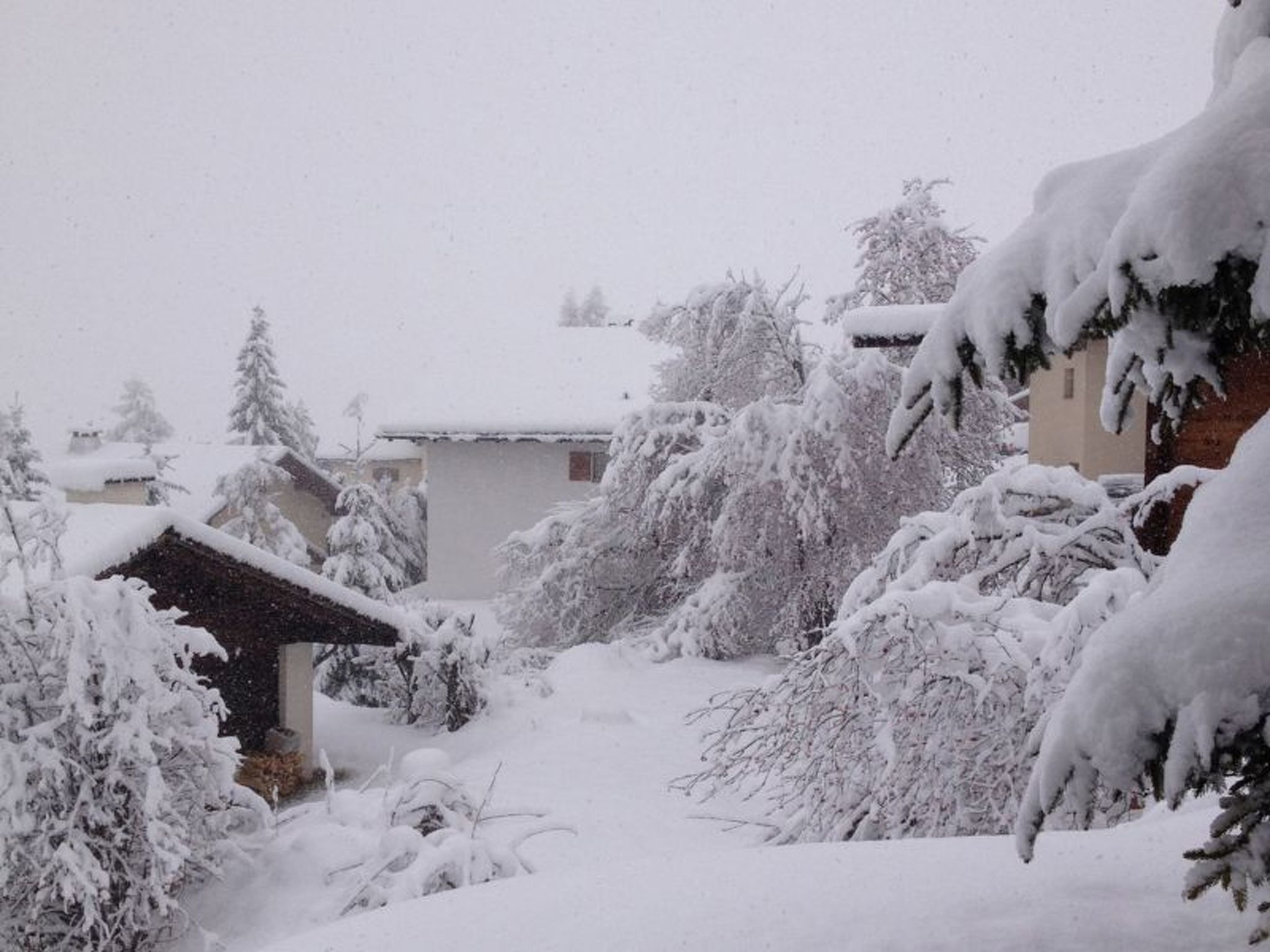 A snowy landscape with a house and trees covered in snow.