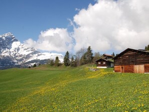 A rural landscape with a mountain in the background, a field of yellow flowers in the foreground, and two wooden buildings.