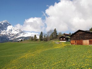 Esterni