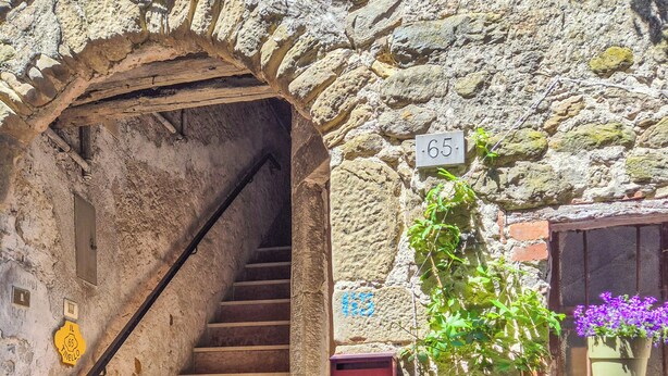 Una escalera de piedra que conduce a una entrada, un buzón con el número 65, y una maceta con flores.